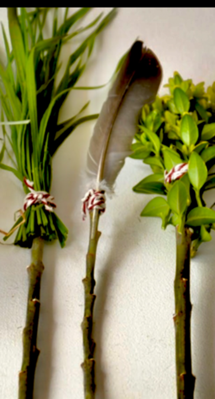 Naturpinsel selber machen